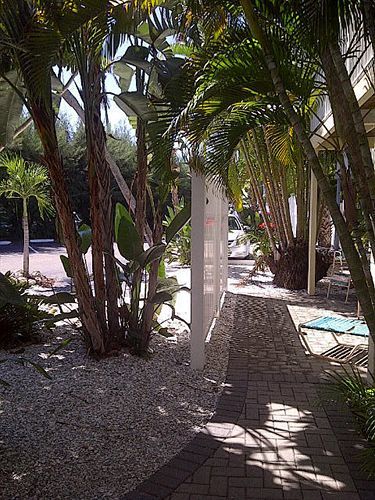 Coquina On The Beach Lido Key  Exteriör bild
