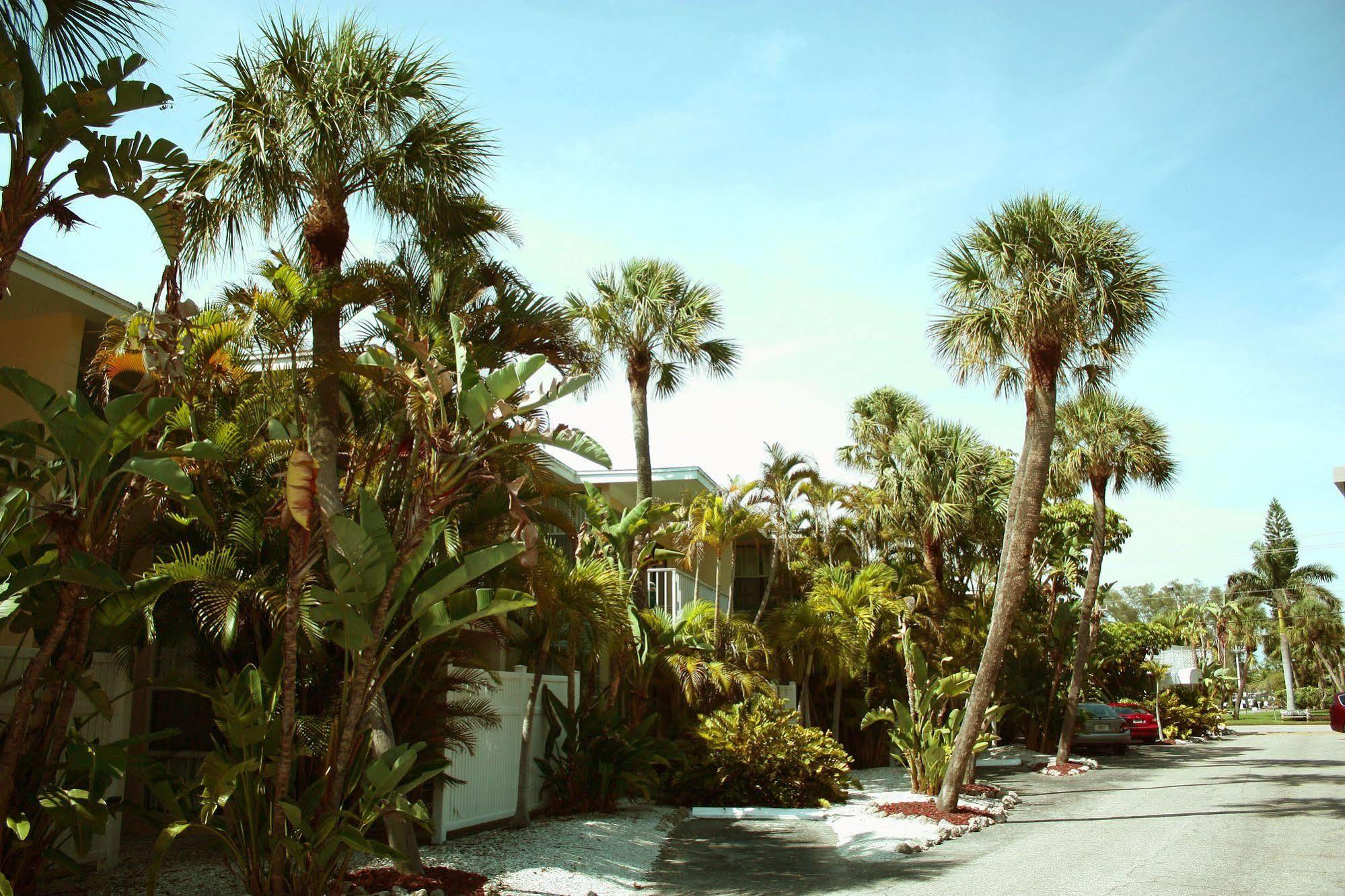 Coquina On The Beach Lido Key  Exteriör bild